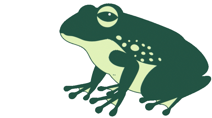 identité visuelle vincent prémel (1)