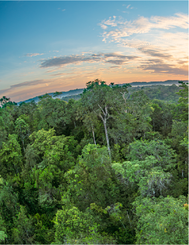 cartographie des sites naturels de la guyane