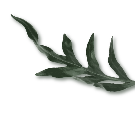 deco feuille tropicale 2