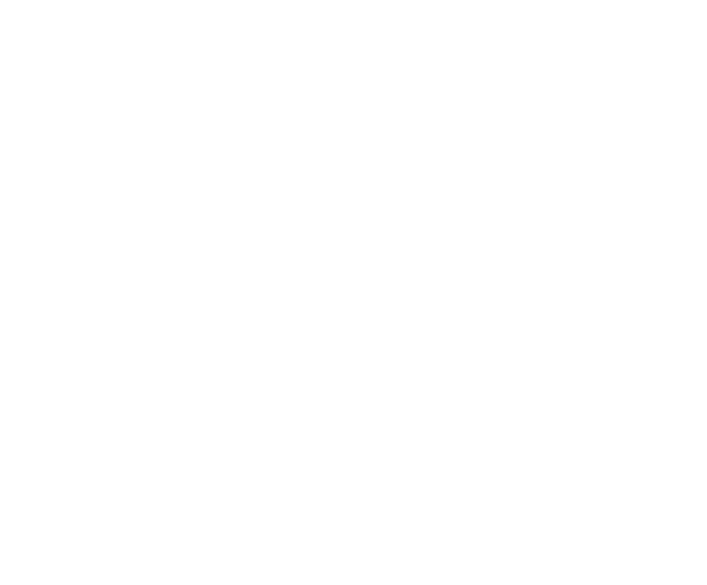 fondationiris logo cmyk nobackground hor2