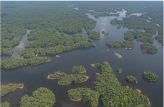 observer et cartographier ancre page service