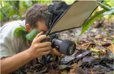 valoriser par l image ancre page service