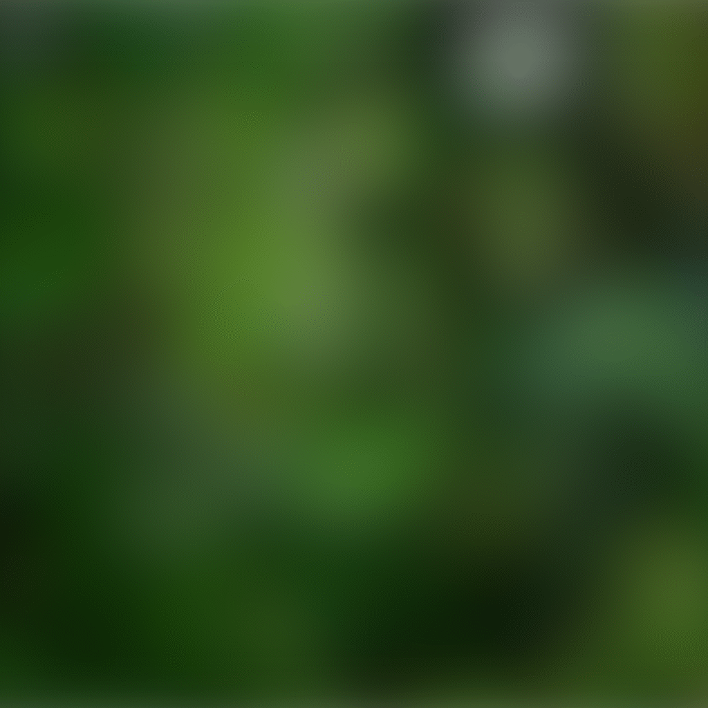 vp pictures immersives (2)