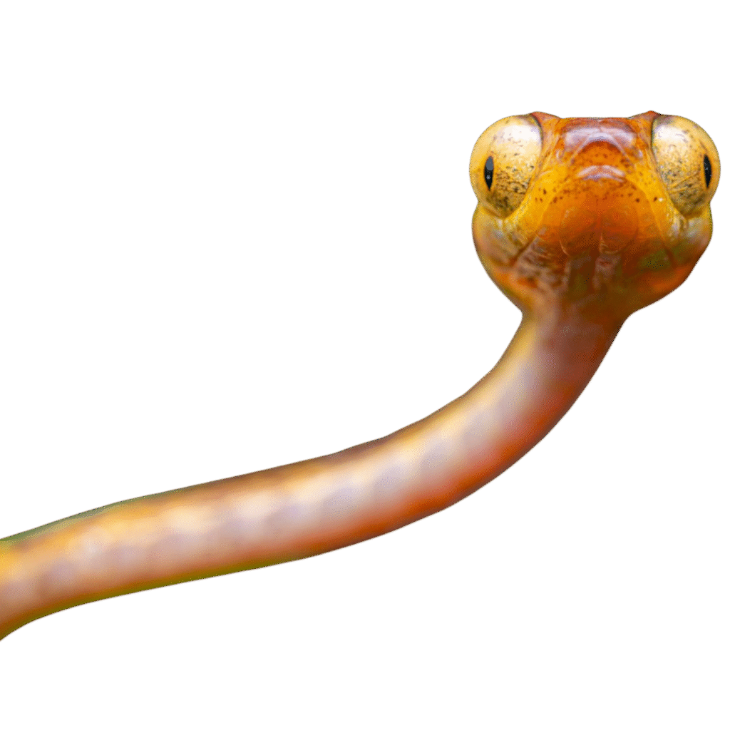 vp pictures immersives (3)