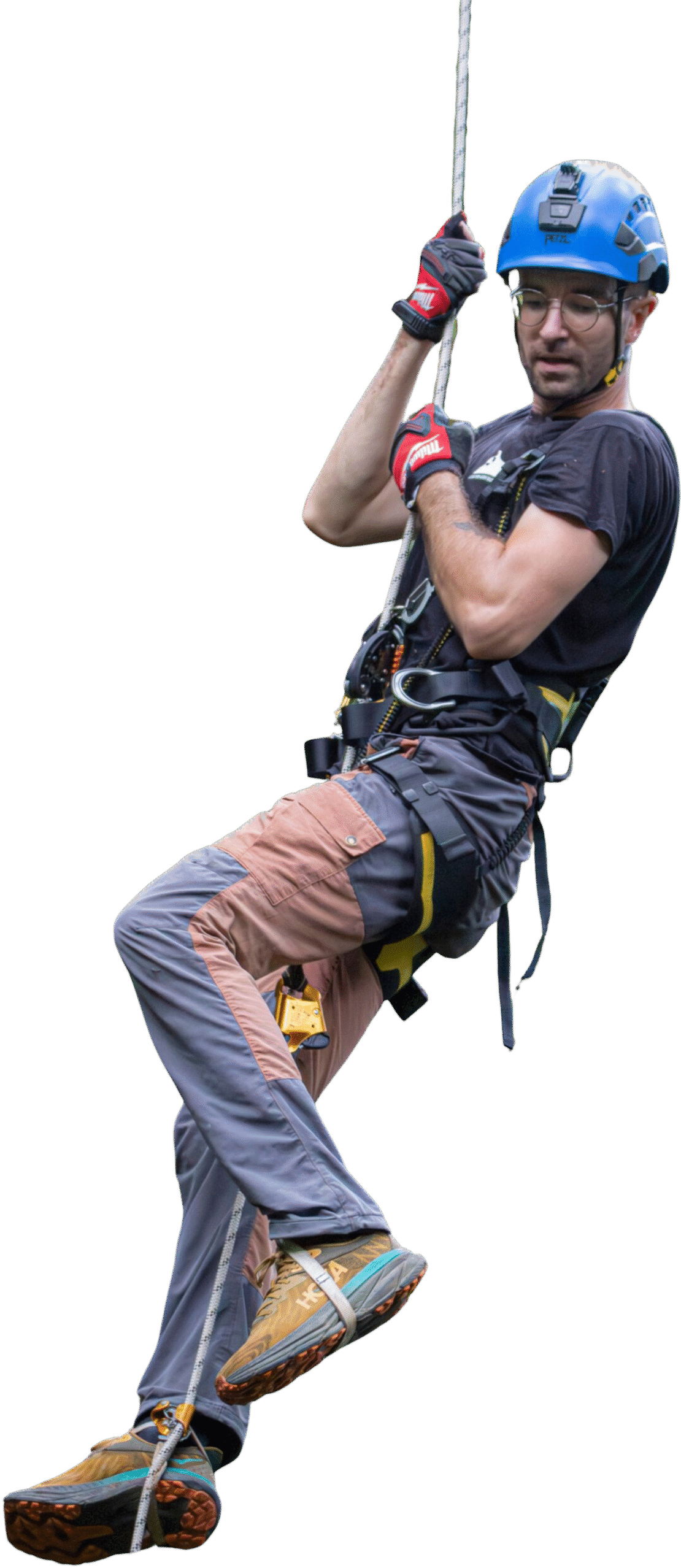 vp pictures immersives